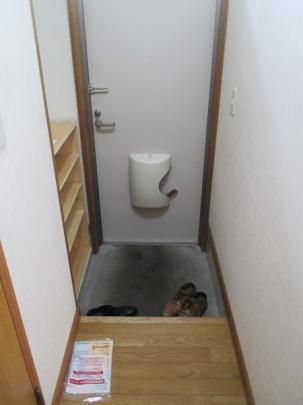 �y���̑��z�@����