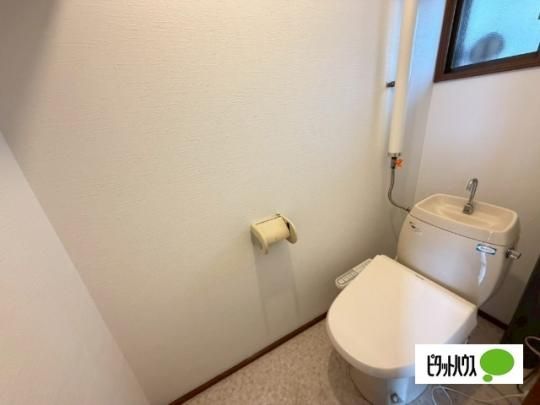�y���̑��z�@�g�C��