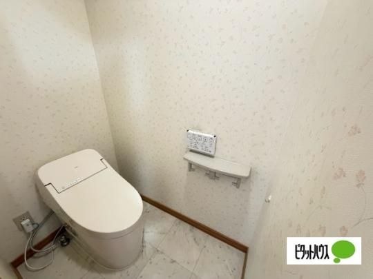 �y���̑��z�@�g�C��