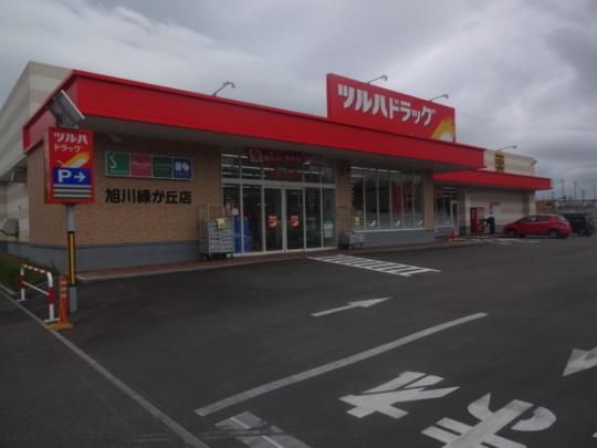 �y���Ӂz�@�c���n�h���b�O����΂��u�X�F1210m