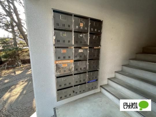 �y�����O�ρz�@�G���g�����X