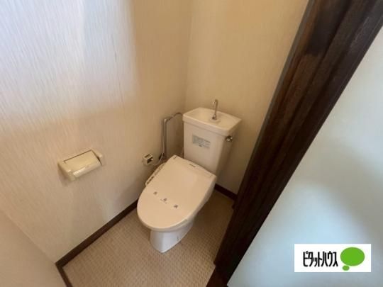 �y���̑��z�@�g�C��
