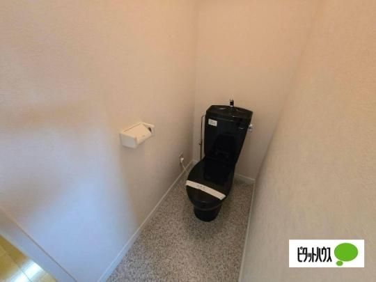 �y���̑��z�@�g�C��