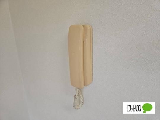 �y���̑��z�@�Z�L�����e�B