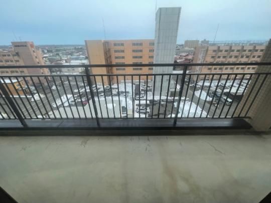 �y���̑��z�@�o���R�j�[