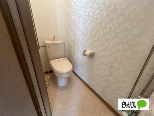 �y���̑��z�@�g�C��