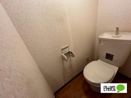 �y���̑��z�@�g�C��