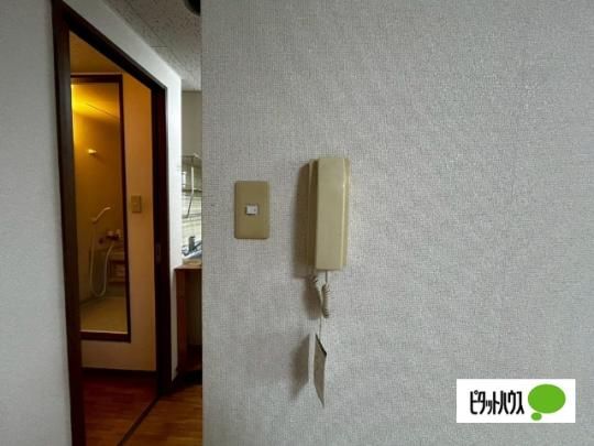 �y���̑��z�@�ݔ�