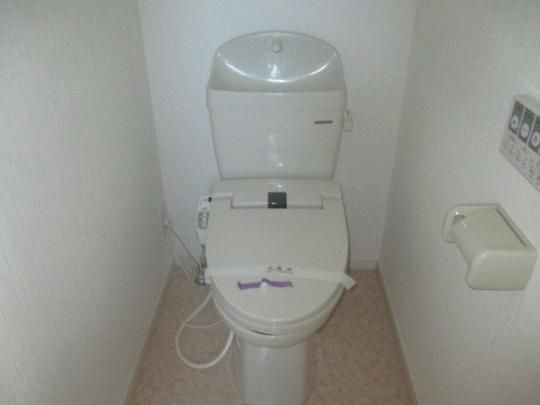 �y���̑��z�@�g�C��