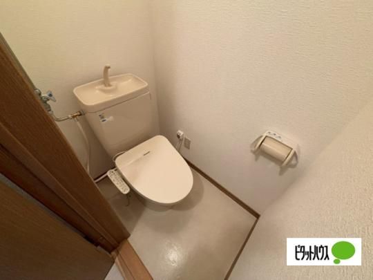�y���̑��z�@�g�C��