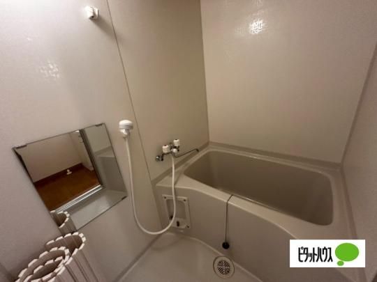 �y���̑��z�@�o�X�^�V�����[