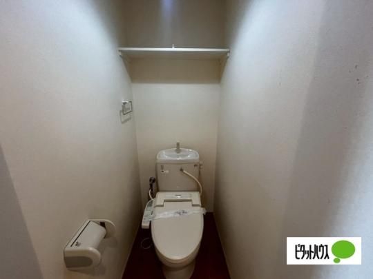 �y���̑��z�@�g�C��