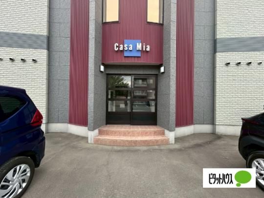 �y�����O�ρz�@�G���g�����X