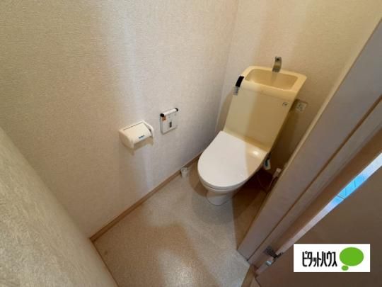 �y���̑��z�@�g�C��