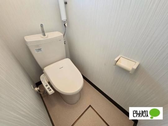 �y���̑��z�@�g�C��