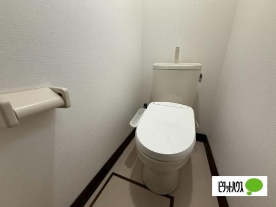 �y���̑��z�@�g�C��
