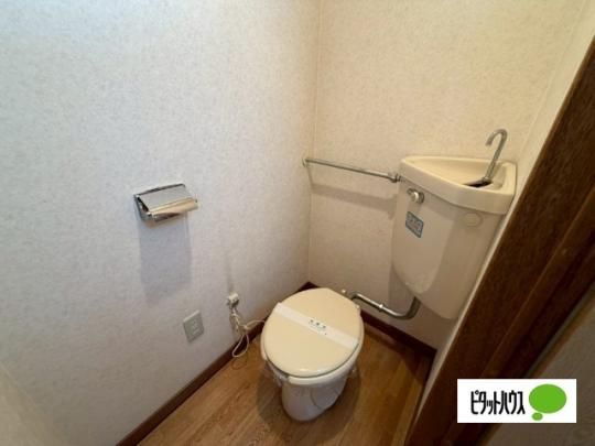 �y���̑��z�@�g�C��