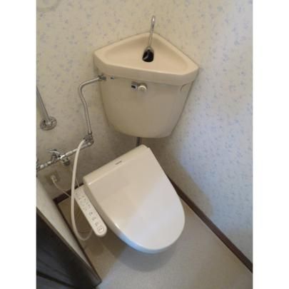 �y���̑��z�@�g�C��