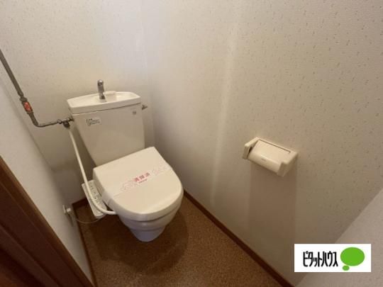 �y���̑��z�@�g�C��