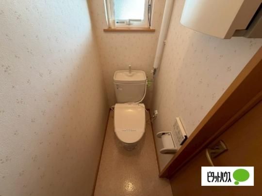 �y���̑��z�@�g�C��