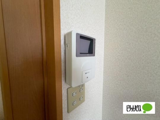 �y���̑��z�@�Z�L�����e�B