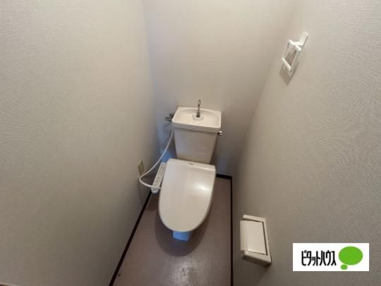 �y���̑��z�@�g�C��