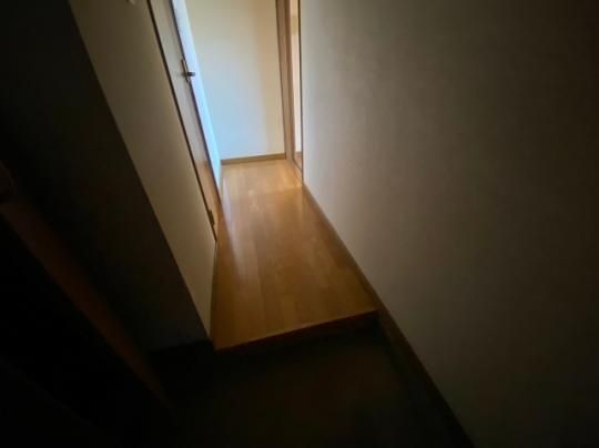 �y���̑��z�@����