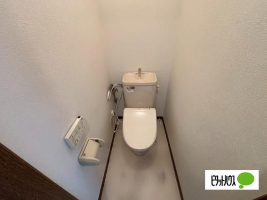 �y���̑��z�@�g�C��