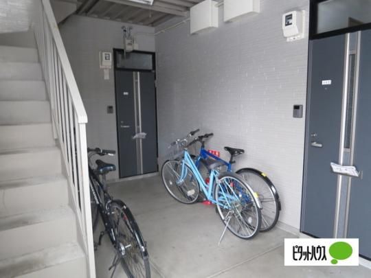 �y�����O�ρz�@�G���g�����X