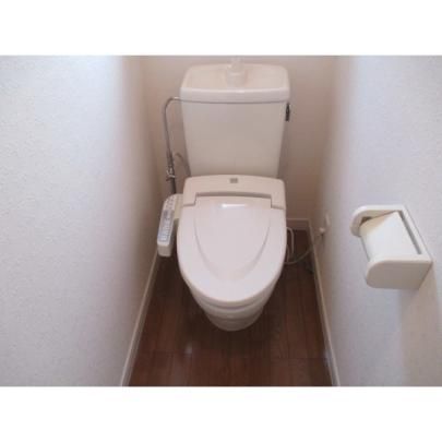 �y���̑��z�@�g�C��