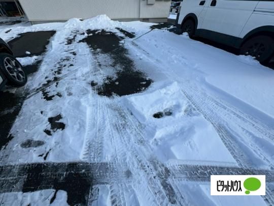 �y�����O�ρz�@���ԏ�