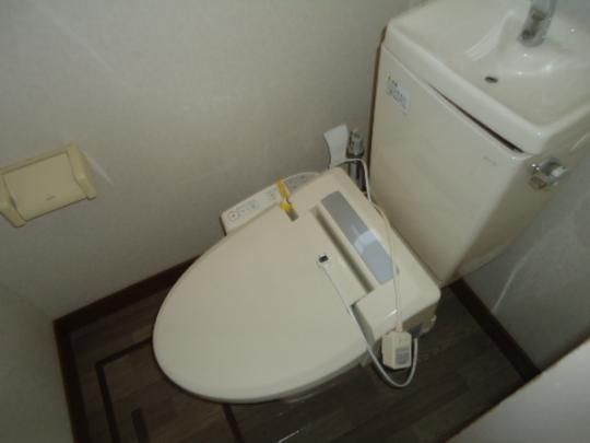 �y���̑��z�@�g�C��