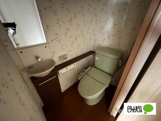 �y���̑��z�@�g�C��