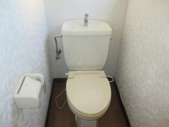 �y���̑��z�@�g�C��