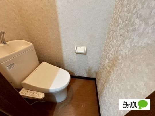 �y���̑��z�@�g�C��