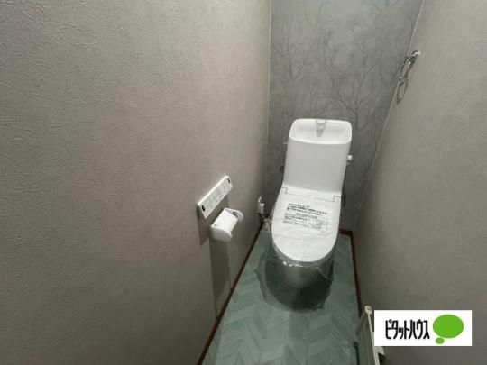 �y���̑��z�@�g�C��