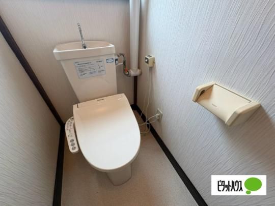 �y���̑��z�@�g�C��