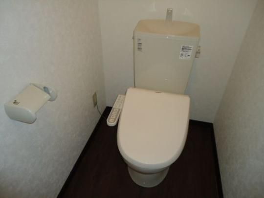 �y���̑��z�@�g�C��