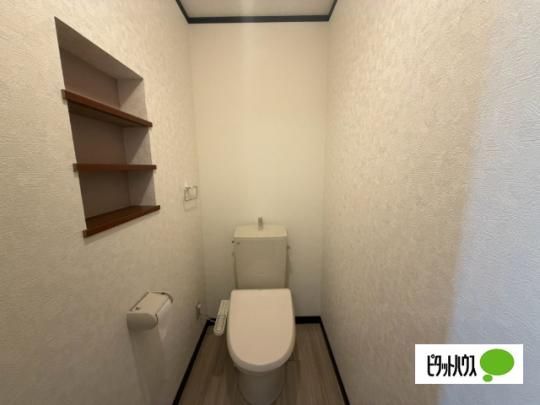 �y���̑��z�@�g�C��