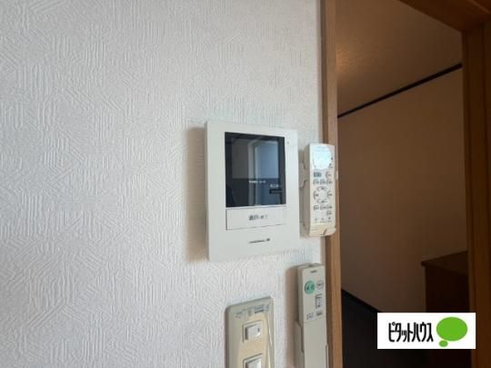 �y���̑��z�@�Z�L�����e�B
