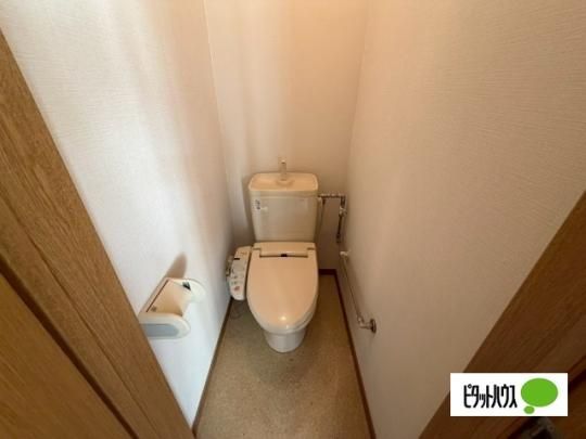 �y���̑��z�@�g�C��