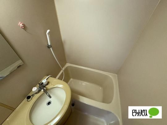 �y���̑��z�@405�ʐ^�]�p
