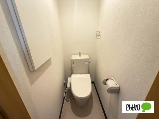 �y���̑��z�@�g�C��