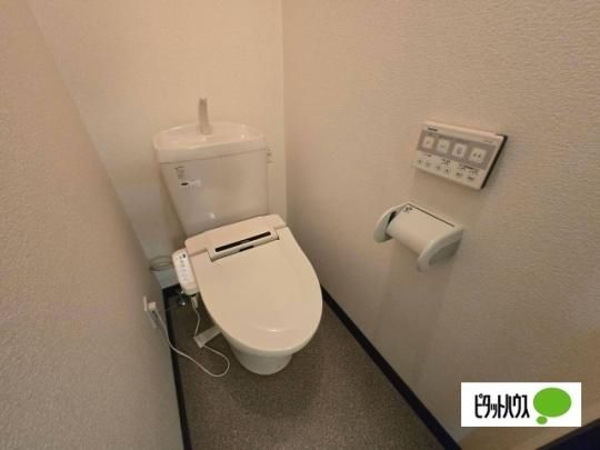 �y���̑��z�@�g�C��