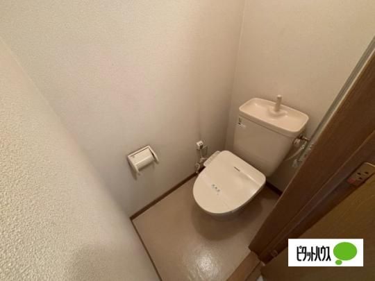 �y���̑��z�@�g�C��