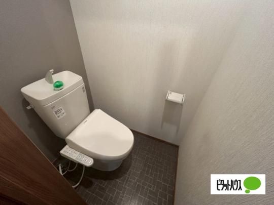 �y���̑��z�@�g�C��