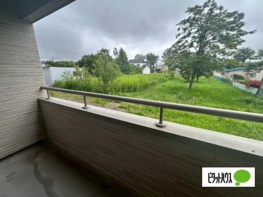 �y���̑��z�@�o���R�j�[