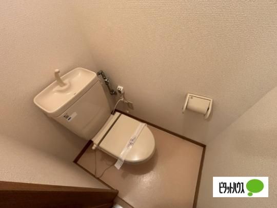 �y���̑��z�@�g�C��