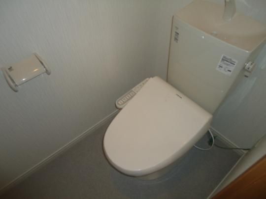 �y���̑��z�@�g�C��