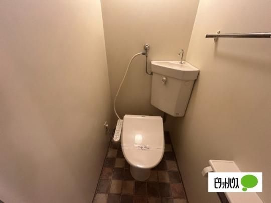�y���̑��z�@�g�C��